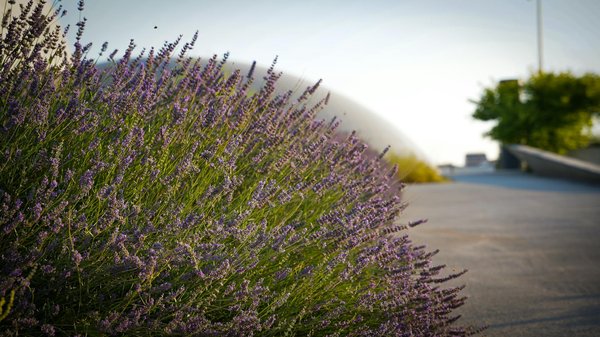 Lampe de chevet : transformez votre chambre avec élégance